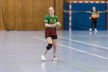 Bild 162 - F HSG Kremperheide/Muensterdorf - HSG Holstein Kiel/Kronshagen : Ergebnis: 31:26